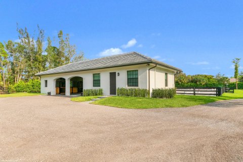 Villa ou maison à vendre à Loxahatchee Groves, Floride: 7 chambres, 544.96 m2 № 1223312 - photo 11