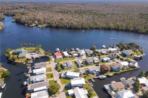 Villa ou maison à louer à Homosassa, Floride: 4 chambres, 163.51 m2 № 1370295 - photo 4