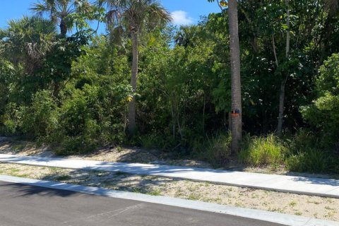 Terreno en venta en Hobe Sound, Florida № 1161803 - foto 3