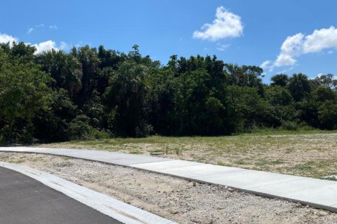 Terreno en venta en Hobe Sound, Florida № 1161803 - foto 4