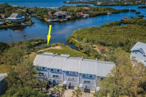 Touwnhouse à vendre à Palm Harbor, Floride: 3 chambres, 148.64 m2 № 1084900 - photo 1