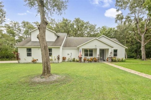 Villa ou maison à vendre à Winter Garden, Floride: 3 chambres, 235.51 m2 № 1341805 - photo 3