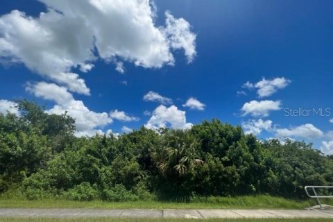 Купить земельный участок в Порт-Шарлотт, Флорида № 220189 - фото 3