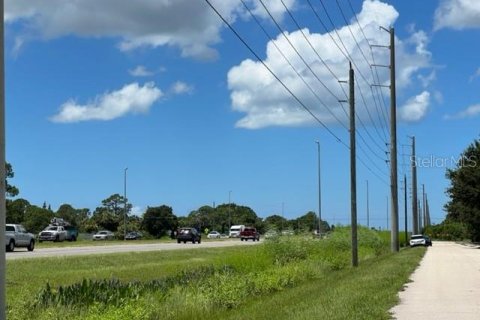 Купить земельный участок в Порт-Шарлотт, Флорида № 220189 - фото 21