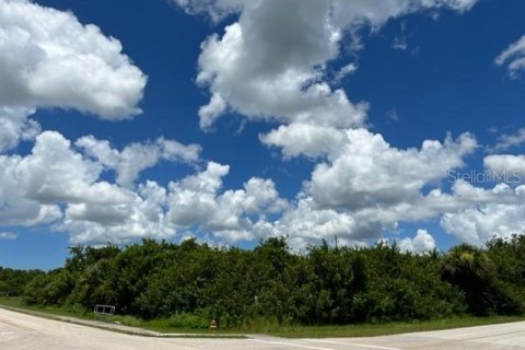 Купить земельный участок в Порт-Шарлотт, Флорида № 220189 - фото 9