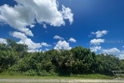 Land in Port Charlotte, Florida № 220189 - photo 1
