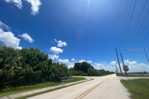 Terrain à vendre à Port Charlotte, Floride № 220189 - photo 5