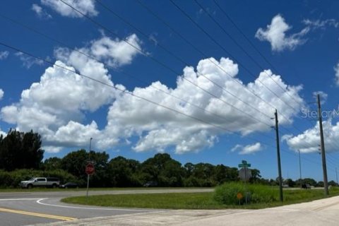 Купить земельный участок в Порт-Шарлотт, Флорида № 220189 - фото 17
