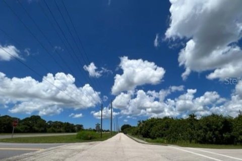 Купить земельный участок в Порт-Шарлотт, Флорида № 220189 - фото 14