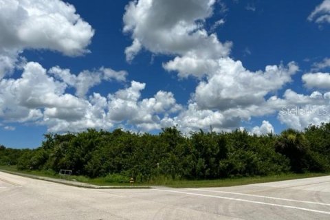 Купить земельный участок в Порт-Шарлотт, Флорида № 220189 - фото 13