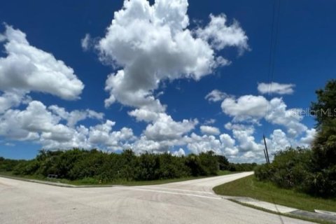 Купить земельный участок в Порт-Шарлотт, Флорида № 220189 - фото 10