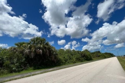 Купить земельный участок в Порт-Шарлотт, Флорида № 220192 - фото 6