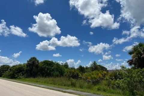 Купить земельный участок в Порт-Шарлотт, Флорида № 220192 - фото 13