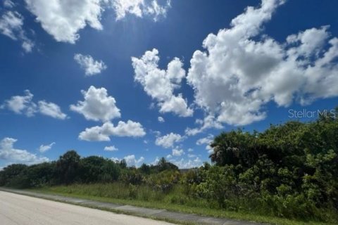 Terrain à vendre à Port Charlotte, Floride № 220192 - photo 19