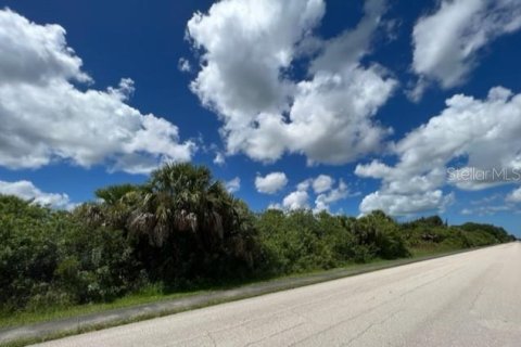 Купить земельный участок в Порт-Шарлотт, Флорида № 220192 - фото 3