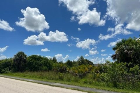 Купить земельный участок в Порт-Шарлотт, Флорида № 220192 - фото 12