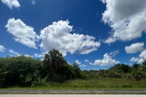 Купить земельный участок в Порт-Шарлотт, Флорида № 220192 - фото 1