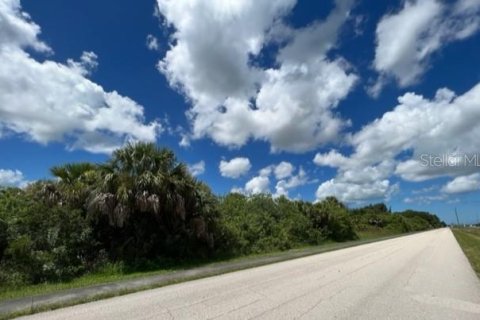 Купить земельный участок в Порт-Шарлотт, Флорида № 220192 - фото 5