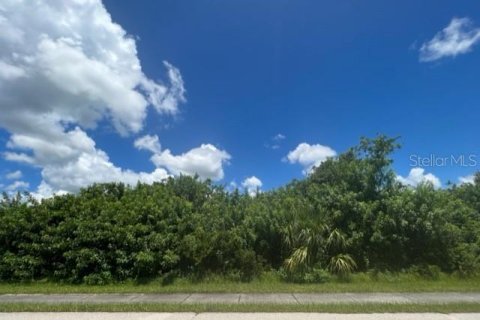 Terreno en venta en Port Charlotte, Florida № 220188 - foto 4