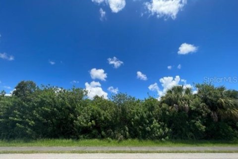 Terrain à vendre à Port Charlotte, Floride № 220193 - photo 14