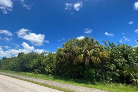 Terrain à vendre à Port Charlotte, Floride № 220193 - photo 19