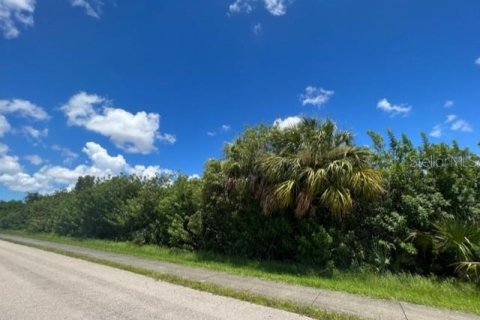 Terrain à vendre à Port Charlotte, Floride № 220193 - photo 18