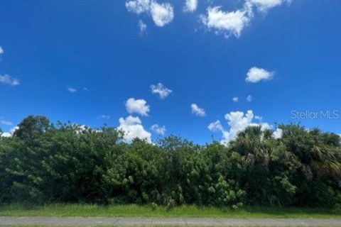 Terrain à vendre à Port Charlotte, Floride № 220193 - photo 15