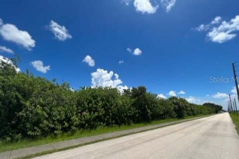 Terrain à vendre à Port Charlotte, Floride № 220193 - photo 6