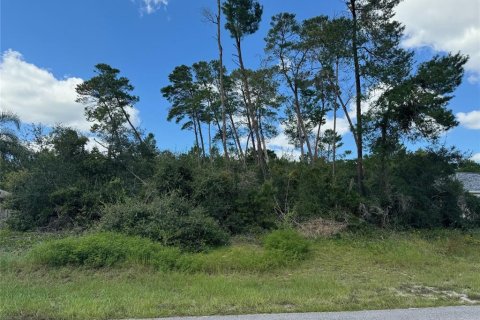 Terrain à vendre à Spring Hill, Floride № 1375257 - photo 4