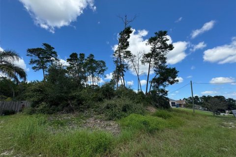 Terrain à vendre à Spring Hill, Floride № 1375257 - photo 5