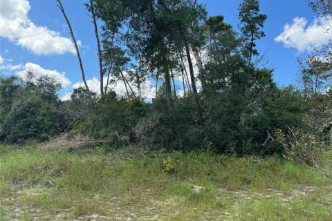 Land in Spring Hill, Florida № 1375257 - photo 1