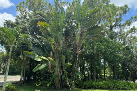 Villa ou maison à vendre à Loxahatchee Groves, Floride: 4 chambres, 182.37 m2 № 1291473 - photo 12