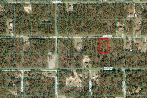 Terreno en venta en Dunnellon, Florida № 1376191 - foto 1