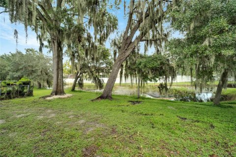 Land in Riverview, Florida № 1359769 - photo 7