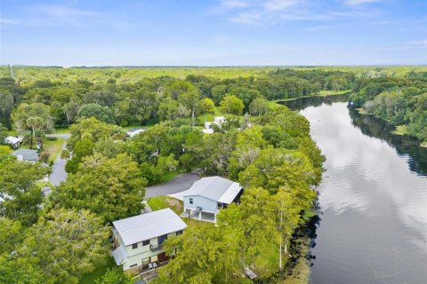 Villa ou maison à vendre à Inverness, Floride: 2 chambres, 100.33 m2 № 1344193 - photo 1