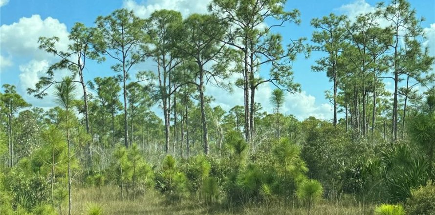 Terrain à Punta Gorda, Floride № 1339563