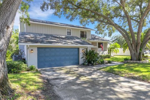 House in Dunedin, Florida 4 bedrooms, 243.68 sq.m. № 1349977 - photo 1