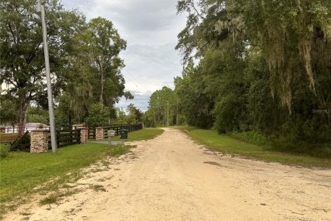 Land in Ocala, Florida № 1385128 - photo 6