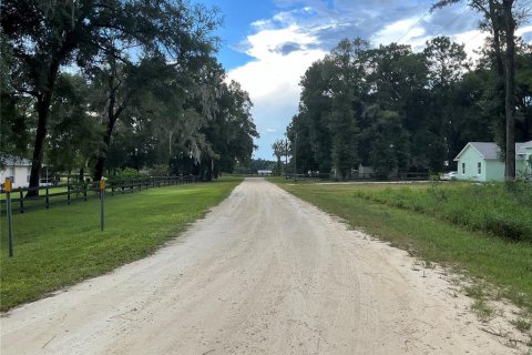 Terreno en venta en Ocala, Florida № 1385128 - foto 5