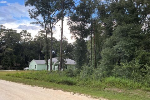 Terreno en venta en Ocala, Florida № 1385128 - foto 2