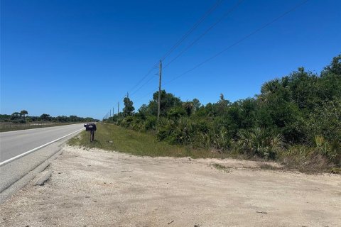 Terrain à vendre à Punta Gorda, Floride № 1124665 - photo 4