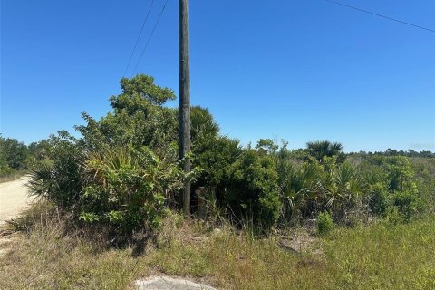 Terrain à vendre à Punta Gorda, Floride № 1124665 - photo 5