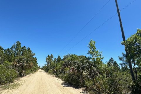 Terrain à vendre à Punta Gorda, Floride № 1124665 - photo 8