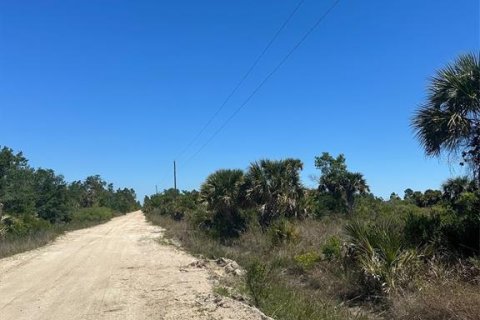 Terrain à vendre à Punta Gorda, Floride № 1124665 - photo 6