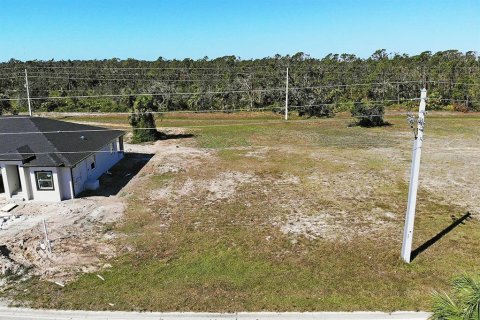 Land in Rotonda, Florida № 872150 - photo 6