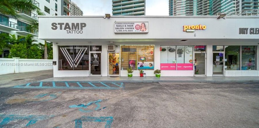 Commercial property in Miami, Florida № 193712