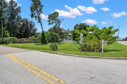 Terreno en venta en Clearwater, Florida № 1340370 - foto 4