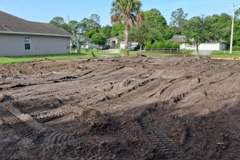 Land in Port St. Lucie, Florida № 1333415 - photo 2