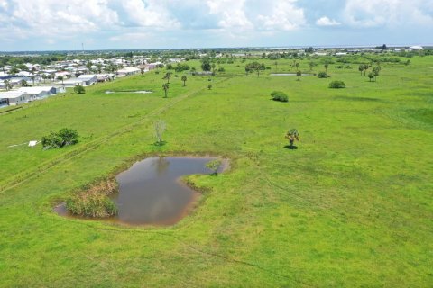 Terreno en venta en Okeechobee, Florida № 1216039 - foto 7