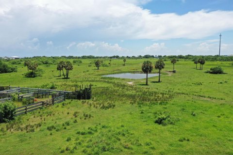 Terreno en venta en Okeechobee, Florida № 1216039 - foto 6